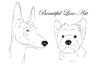 draw beautiful line art of your pet