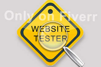 act as a user and test your website
