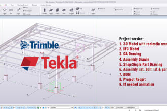 do steel detailing using tekla structure