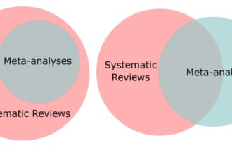 do systematic reviews and meta analysis