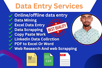 do fast typing jobs, pdf to word, retype pages, fast typist