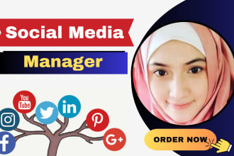 be your professional social media marketing manager