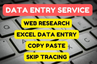 do excel data entry, web research, copy paste