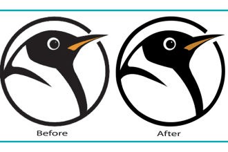 transforming images to high quality vector