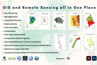 provide gis and remote sensing services