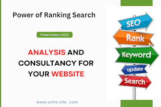 offer a professional SEO audit report and a competitive website analysis