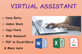 do retyping, convert pdf to word, excel, ppt