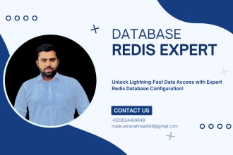 optimize and scale your application with redis database