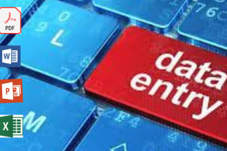 do excel data entry