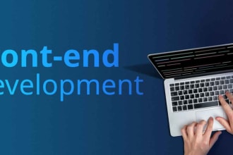 develop frontend webapp using reactjs, nextjs, vuejs