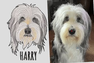 embroidery digitizing into dst pes pxf file in 1 hour thank you