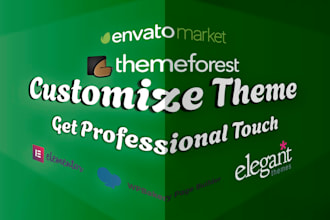 install, import demo, customize themeforest wordpress theme