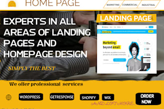 do professional landing page and homepage design or redesign your homepage