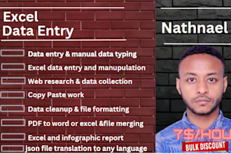 do excel, data entry and typing