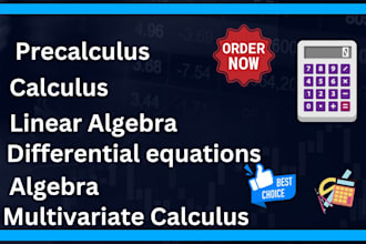 assists you in mathematics calculus algebra and differential
