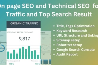 do technical and on page SEO in website for organic traffic and top search rank