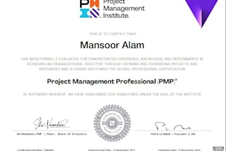 do project  project management