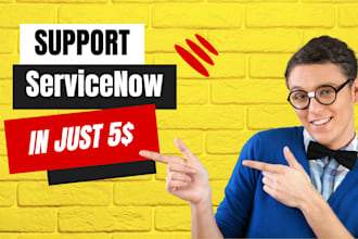 provide professional servicenow development and servicenow administration