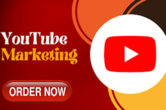 do professional youtube seo and paid promotion