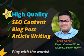write high quality SEO content, blog post and article