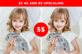 resize or upscale images, photos for web and printing with 300 dpi