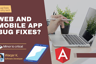 be your ionic bug fixer or bug fixes expert in ionic