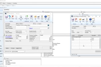 resolve dynamics gp glitches with expert support with a wealth of experience