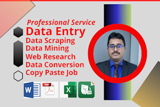 do web research data entry word  excel copy paste etc
