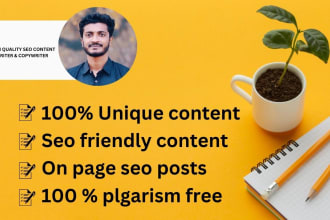 be your SEO website content writer, blog post, or copywriter