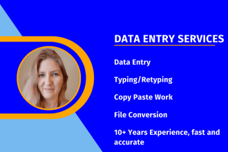 do accurate data entry, typing, excel data entry