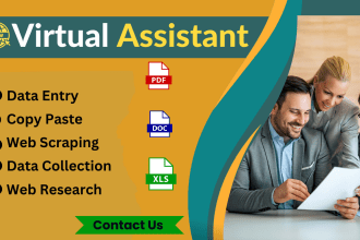 data entry copy paste job and web research as per buyer instructions