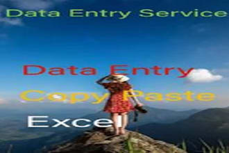 do data entry, copy paste, excel data entry, typing work
