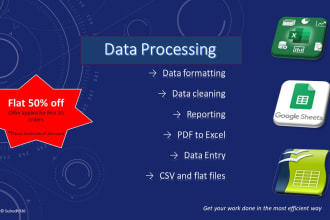 excel based all kind of data processing, cleaning formatting, reporting etc