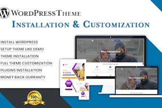 do wordpress theme installation, demo import and others