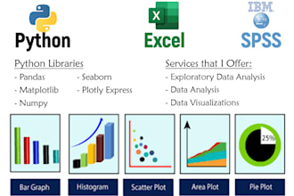 provide expert data analysis using python, spss and excel for powerful insights