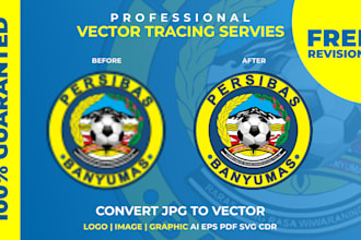 manual vector tracing professional