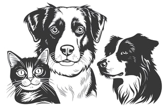 draw your pet portrait into a black and white vector, silhouette, stencil