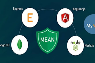 do professional custom mean stack web development with mysql