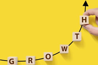 manage your paid advertising strategy and grow your business