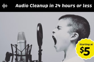 clean your audio, remove background noise, reverb, echo, wind, fix eq, volume