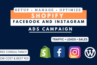 setup and manage shopify facebook ads and instagram ads campaign