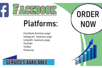 do organic facebook page promotion to grow fast real audience