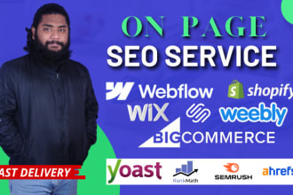 do onpage SEO service for wordpress wix weebly shopify webflow website