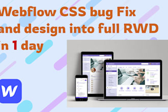 fix CSS bug or design your webflow section into responsive