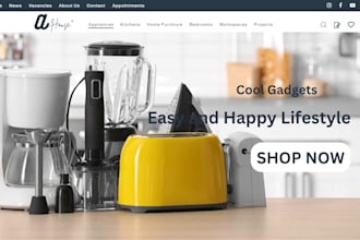 design 7 figure home appliances shopify store kitchenware dropshipping website