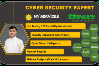 do cyber security, network security and soc analyst tasks for you