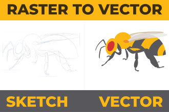 redraw, transform, and trace logo or image to vector format