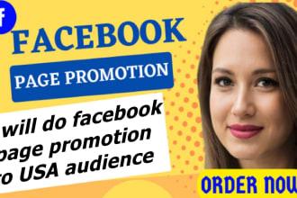 do facebook page promotion to USA audience