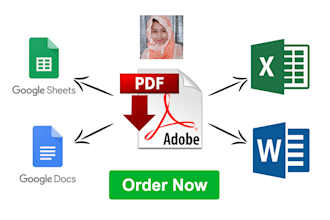 convert PDF or image to word, excel or google sheets