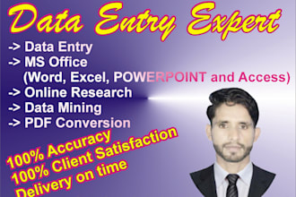 do accurate data entry, web research, copy paste and excel tasks